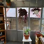 Apartamento Rejhan *