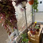 Apartman Rejhan Sarajevo