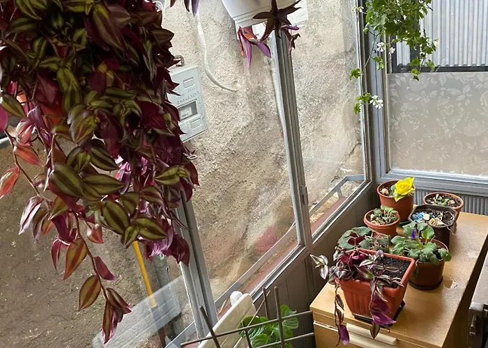 Apartment Rejhan Sarajevo